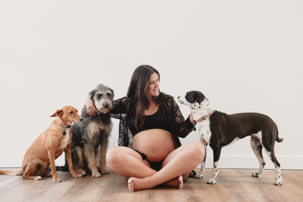 Sessões fotográficas gravidez. Sessões fotográficas de gravidez em casa. Mulher grávida feliz e com os seus companheiros de 4 patas.